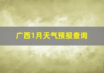 广西1月天气预报查询