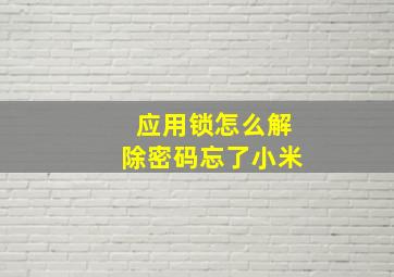 应用锁怎么解除密码忘了小米