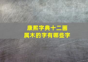 康熙字典十二画属木的字有哪些字