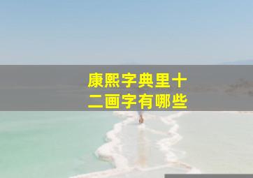 康熙字典里十二画字有哪些