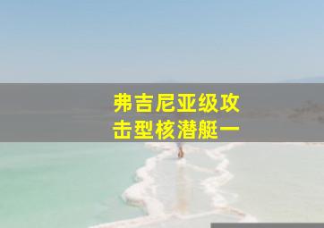 弗吉尼亚级攻击型核潜艇一