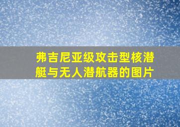 弗吉尼亚级攻击型核潜艇与无人潜航器的图片