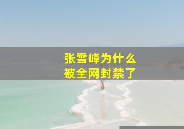 张雪峰为什么被全网封禁了