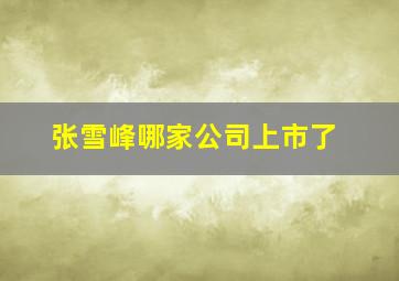 张雪峰哪家公司上市了