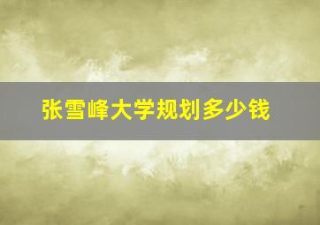 张雪峰大学规划多少钱