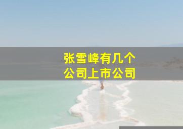 张雪峰有几个公司上市公司