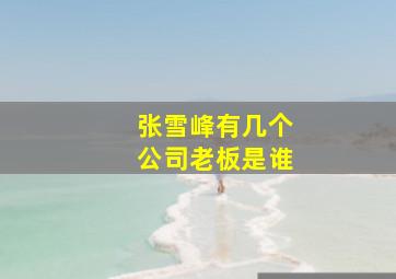 张雪峰有几个公司老板是谁