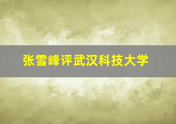 张雪峰评武汉科技大学