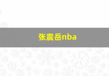 张震岳nba