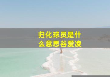 归化球员是什么意思谷爱凌