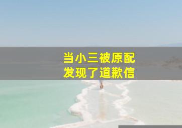 当小三被原配发现了道歉信