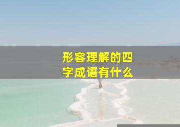 形容理解的四字成语有什么