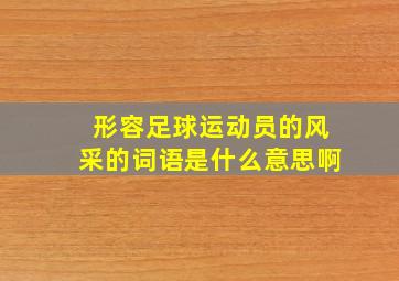 形容足球运动员的风采的词语是什么意思啊