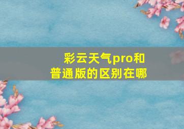 彩云天气pro和普通版的区别在哪