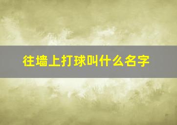 往墙上打球叫什么名字