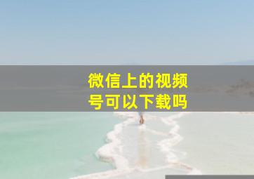 微信上的视频号可以下载吗