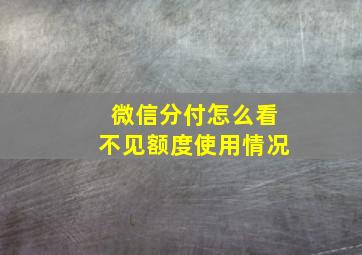 微信分付怎么看不见额度使用情况