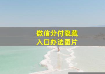 微信分付隐藏入口办法图片