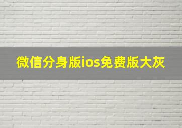 微信分身版ios免费版大灰