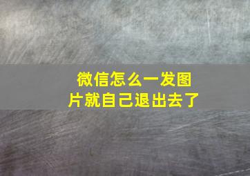 微信怎么一发图片就自己退出去了