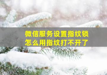 微信服务设置指纹锁怎么用指纹打不开了