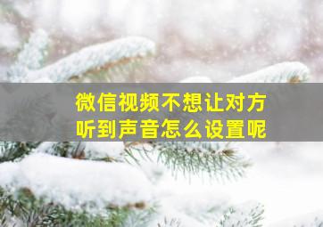 微信视频不想让对方听到声音怎么设置呢