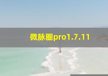 微脉圈pro1.7.11