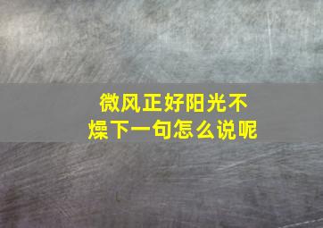 微风正好阳光不燥下一句怎么说呢