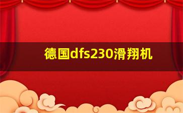 德国dfs230滑翔机