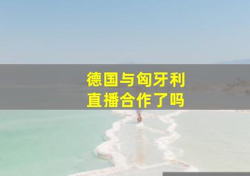 德国与匈牙利直播合作了吗