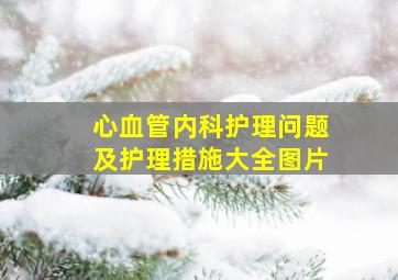 心血管内科护理问题及护理措施大全图片