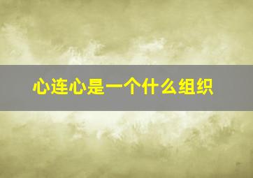 心连心是一个什么组织