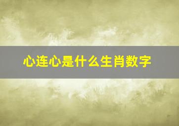 心连心是什么生肖数字