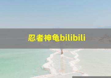 忍者神龟bilibili