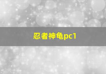 忍者神龟pc1