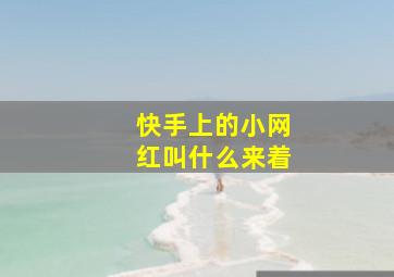 快手上的小网红叫什么来着