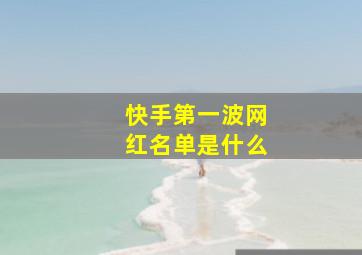 快手第一波网红名单是什么