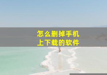 怎么删掉手机上下载的软件