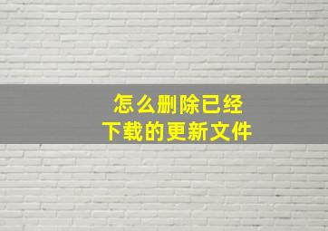 怎么删除已经下载的更新文件