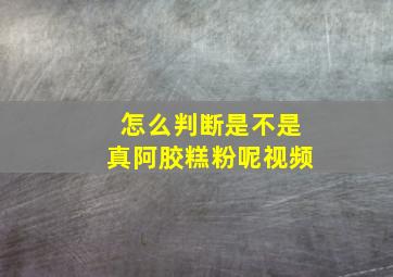 怎么判断是不是真阿胶糕粉呢视频