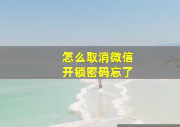 怎么取消微信开锁密码忘了