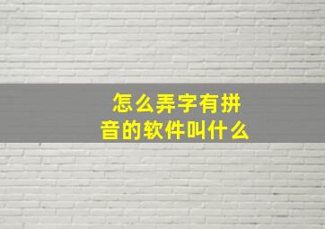 怎么弄字有拼音的软件叫什么