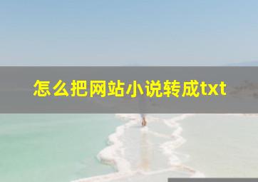 怎么把网站小说转成txt