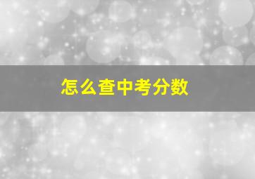 怎么查中考分数