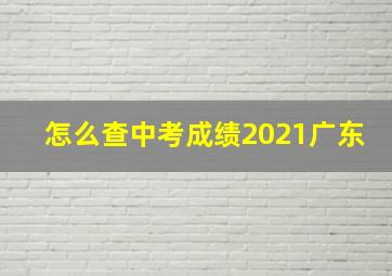 怎么查中考成绩2021广东