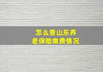 怎么查山东养老保险缴费情况