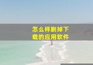 怎么样删掉下载的应用软件