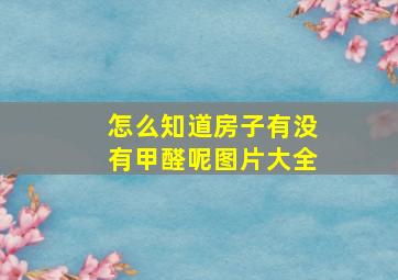 怎么知道房子有没有甲醛呢图片大全