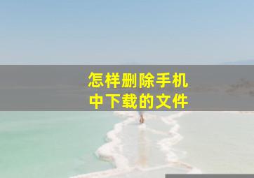 怎样删除手机中下载的文件