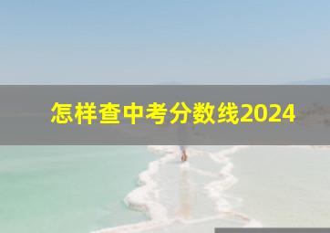 怎样查中考分数线2024